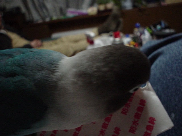 DSC00013.JPG